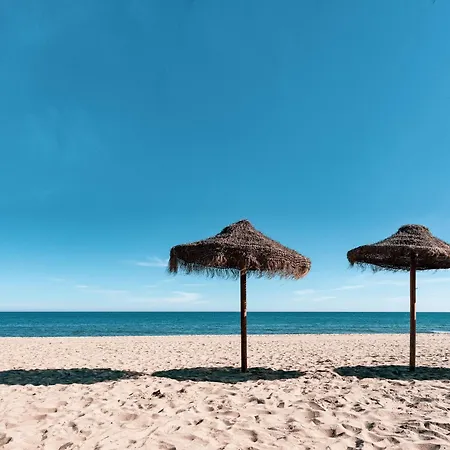 Estudio Con Increibles Vistas. *